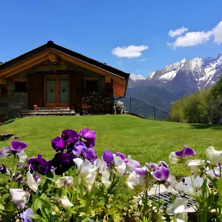 Deluxe - Cuore Selvatico 3*